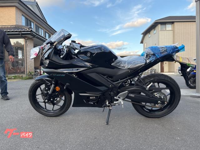 堺市南区発　ヤマハ　R25 自賠責付き　実働　格安　配送可 ヤマハ YZF－R25｜株式会社 藤内輪店｜新車・中古バイクなら