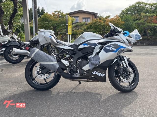 Ｎｉｎｊａ　ＺＸ−４Ｒ　ＳＥ　　ギャラクシーシルバー