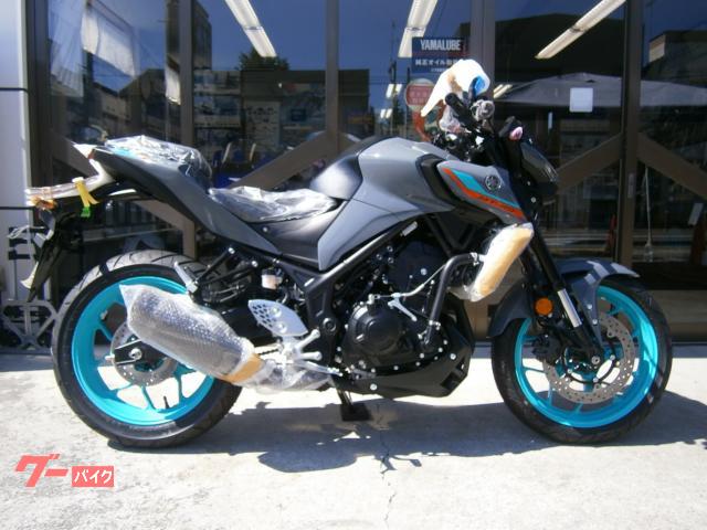 ＭＴ−２５　ＡＢＳ　２０２３年モデル　パステルグレー　メーカー保証２年付き