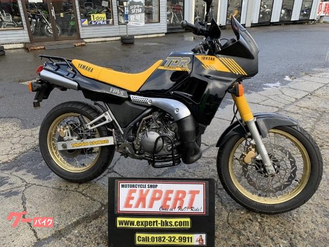 ヤマハ ＴＤＲ２５０ リヤキャリア装着 前後メッシュブレーキホース