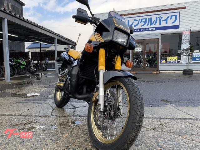 ヤマハ ＴＤＲ２５０ リヤキャリア装着 前後メッシュブレーキホース