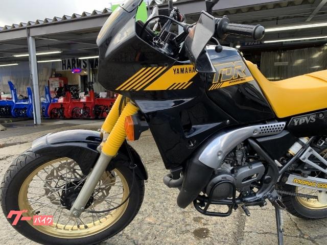 ヤマハ ＴＤＲ２５０ リヤキャリア装着 前後メッシュブレーキホース