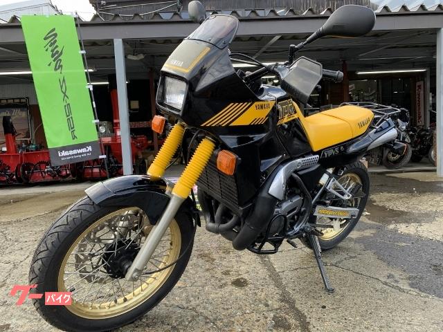 ヤマハ ＴＤＲ２５０ リヤキャリア装着 前後メッシュブレーキホース