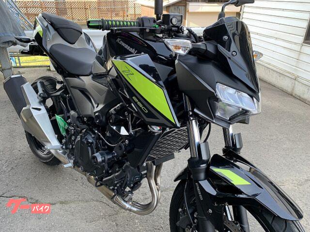 カワサキ Z250 EX250P OPフレームスライダー＆タンク