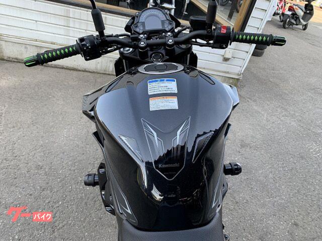 カワサキ Z250 EX250P OPフレームスライダー＆タンク