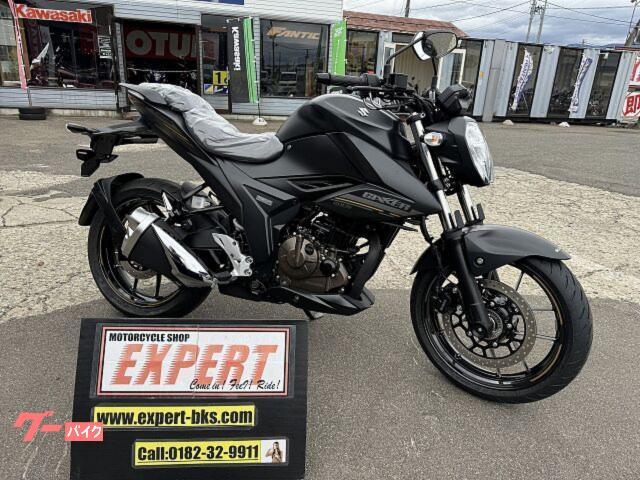 ＧＩＸＸＥＲ　２５０　ＥＤ２２Ｙ　新車　Ｎｏ３４６２