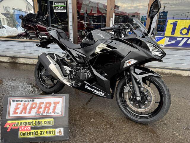 Ｎｉｎｊａ　２５０　ＥＸ２５０Ｐ　Ｎｏ３５０７