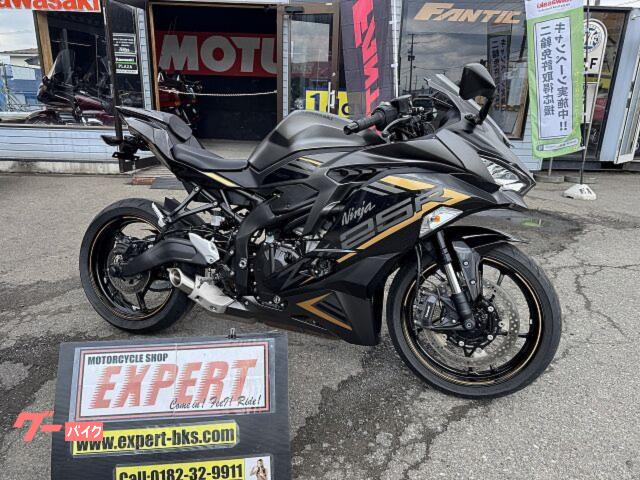 Ｎｉｎｊａ　ＺＸ−２５Ｒ　ＳＥ　１オーナー車　オプションパーツ多数　フェンダーレス　Ｎｏ３５１５