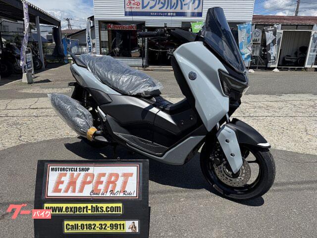 ＮＭＡＸ　ニューモデル　新車　Ｎｏ３５４３