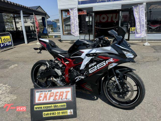 Ｎｉｎｊａ　ＺＸ−２５Ｒ　ＳＥ　ＺＸ２５０Ｅ　１オーナー車　ＥＴＣ分離型　ＵＳＢ２ポート電源　フェンダーレス他　Ｎｏ３５８４