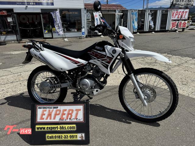 ＸＴＺ１２５Ｅ　２０１８年製造　ＺＥＴＡナックルガード　アルミ製アンダーガード　Ｎｏ３６３２