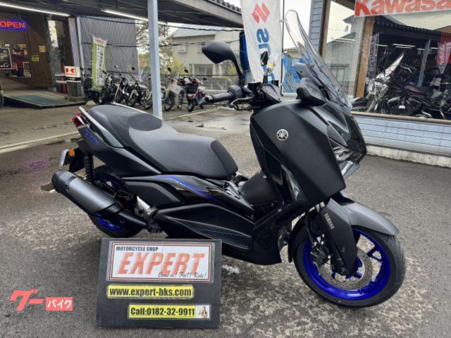 Ｘ−ＭＡＸ２５０　ＳＧＡ８Ｊ　１オーナー車　Ｎｏ３６６４