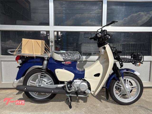 スーパーカブ１１０プロ　ＪＡ６１　２０２５年最新モデル　日本製正規新車　ＡＢＳディスクブレーキ　キャストホイールチューブレスタイヤ