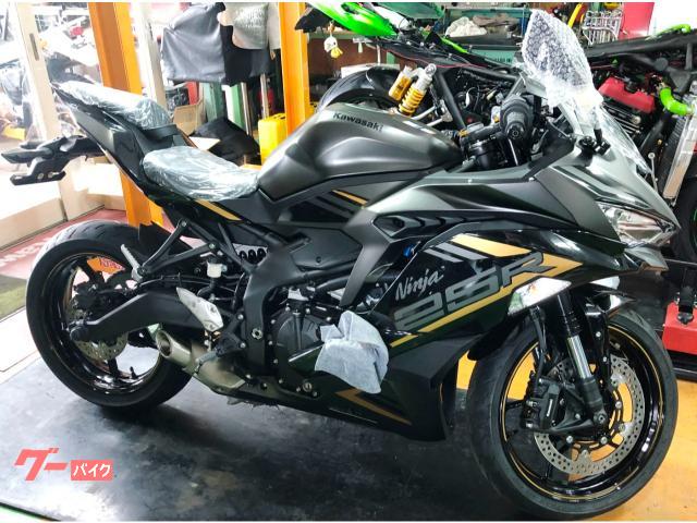 カワサキ Ｎｉｎｊａ ＺＸ－２５Ｒ ＳＥ ２０２２年モデル｜カワサキ