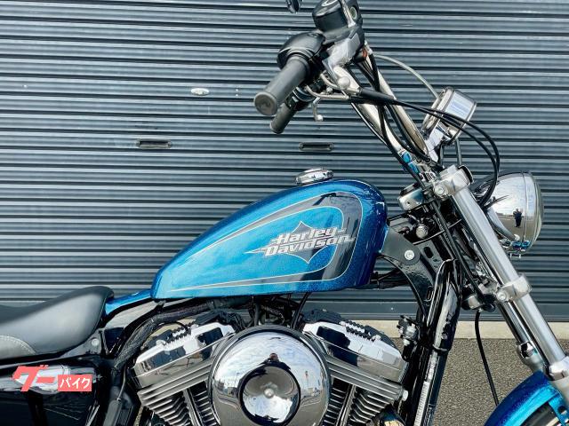 ルアー・フライ XL1200V ルアー・フライ XL1200V ルアー・フライ XL1200V 激安価格の