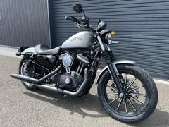 ＨＡＲＬＥＹ−ＤＡＶＩＤＳＯＮ　ＸＬ８８３Ｎ　アイアン　フェンダーレス仕様　純正ハードキャンディシルバーフレーク