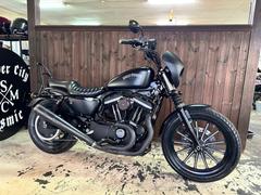 ＨＡＲＬＥＹ−ＤＡＶＩＤＳＯＮ　ＸＬ８８３Ｎ　アイアン