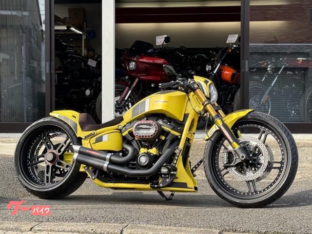 ＦＸＢＲＳ　ソフテイル　ブレイクアウト１１４　サンダーバイク　フルカスタムコンプリート