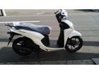�ģ��������̣���塡����ึ�ա������ȵ���ž��