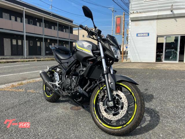 ＭＴ−２５　ワンオーナー　フェンダーレス　バックステップ　エンジンスライダー