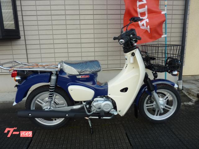 スーパーカブ１１０プロ　Ｌｉｔｅ