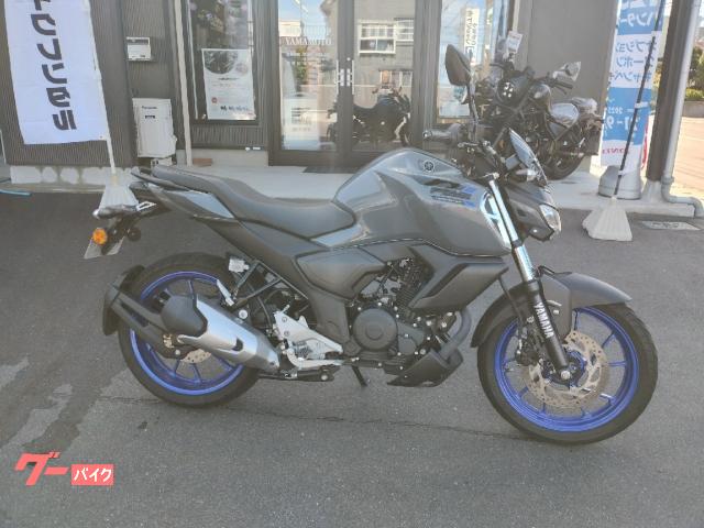 ＦＺＳ−ＦＩ