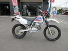 ホンダ ＸＲ　ＢＡＪＡ　１９９５年モデル　タイヤ前後新品　ドライブチェーン新品　フロントマスターシリンダー新品の画像（青森県