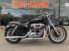 ＨＡＲＬＥＹ−ＤＡＶＩＤＳＯＮ　ＸＬ１２００Ｌ　ロー　社外マフラー　ＥＴＣ