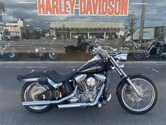 ＨＡＲＬＥＹ−ＤＡＶＩＤＳＯＮ　ＦＸＳＴ　ソフテイルスタンダード　社外マフラー　サイドナンバー　ＥＴＣ