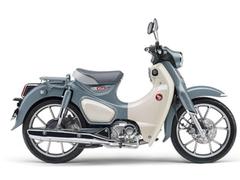 グーバイク】宮城県・「スーパーカブ」のバイク検索結果一覧(1～30件)