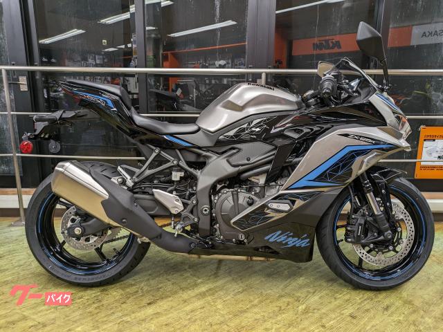 Ｎｉｎｊａ　ＺＸ−２５Ｒ　ＳＥ　２４年モデル