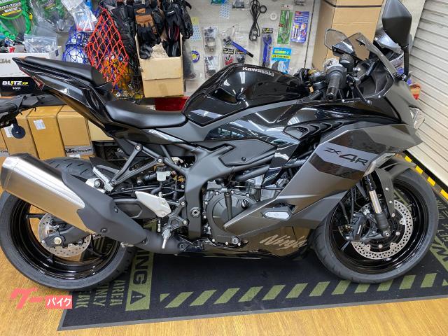 Ｎｉｎｊａ　ＺＸ−４Ｒ　ＳＥ