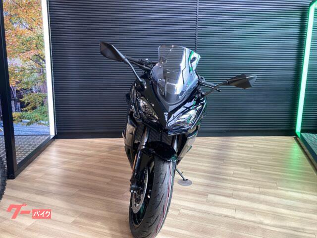 Kawasaki Ninja 1100 SX — миниатюра 4
