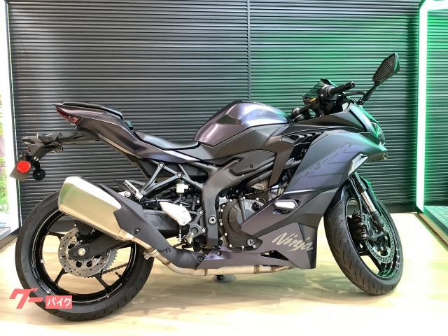 Ｎｉｎｊａ　ＺＸ−２５Ｒ
