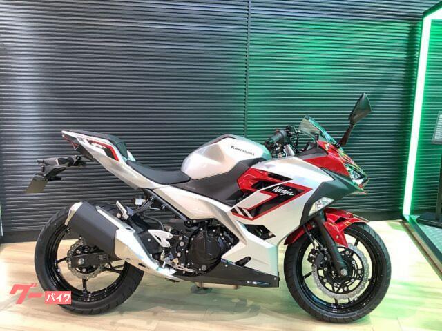 Ｎｉｎｊａ　２５０