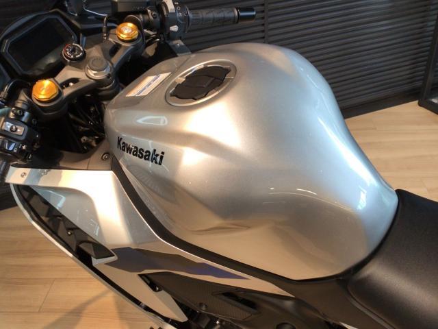 カワサキ ニンジャZX－4R フレームスライダー ヘルメットホルダー
