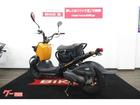 ホンダ ズーマー／２０１２年モデル／ノーマル車輌の画像（福島県