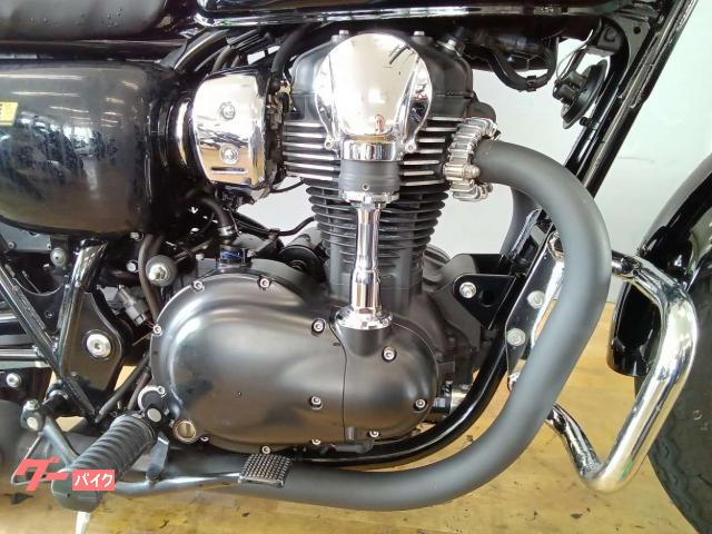 カワサキ W800 スペシャルエディション ビキニカウル／エンジン