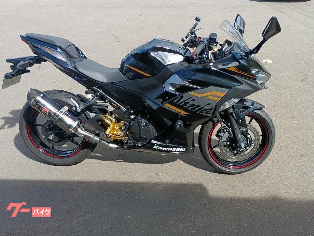 Ｎｉｎｊａ　２５０　ヨシムラマフラーＳ／Ｏ　バックステップ　ＥＴＣ　ＵＳＢ　マルチホルダー