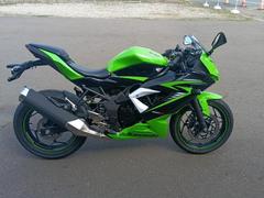 カワサキ　Ｎｉｎｊａ　２５０ＳＬ　２０１５年モデル　インジェクション　ノーマル
