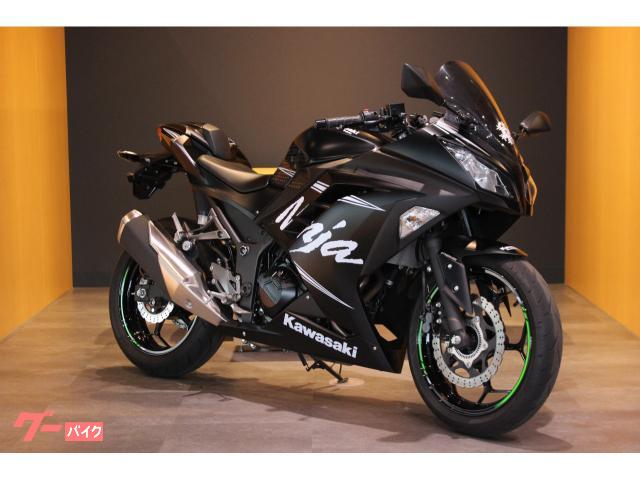 Ｎｉｎｊａ　２５０ＡＢＳ　ＫＲＴ　Ｗｉｎｔｅｒ　Ｔｅｓｔ　Ｅｄｉｔｉｏｎ　ＥＴＣ・ＵＳＢ電源・アクセサリーバー・タンクパッド