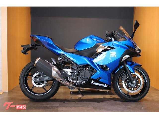 カワサキ Ninja 250 キャンディプラズマブルー フルノーマル
