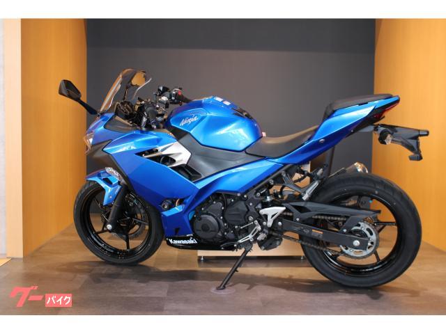 カワサキ Ninja 250 キャンディプラズマブルー フルノーマル