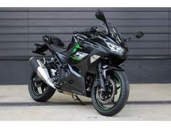 カワサキ　Ｎｉｎｊａ　２５０　２０２４年モデル　フルノーマル
