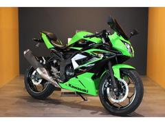 カワサキ　Ｎｉｎｊａ　２５０ＳＬ　２０１５年モデル