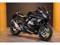 カワサキ　Ｎｉｎｊａ　２５０ＡＢＳ　ＫＲＴ　Ｗｉｎｔｅｒ　Ｔｅｓｔ　Ｅｄｉｔｉｏｎ　ＥＴＣ・ＵＳＢ電源・アクセサリーバー・タンクパッド