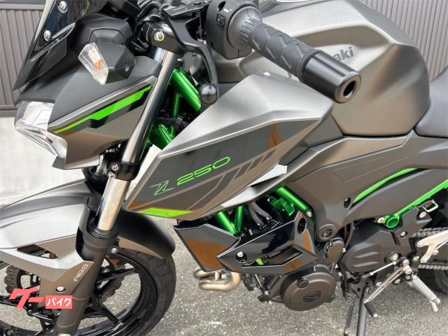 カワサキ Ninja ZX－10R 逆車マレーシア仕様