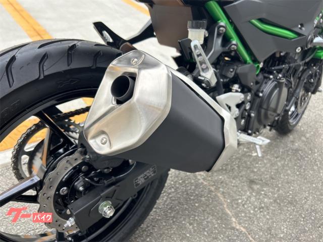 カワサキ Ninja ZX－10R 逆車マレーシア仕様