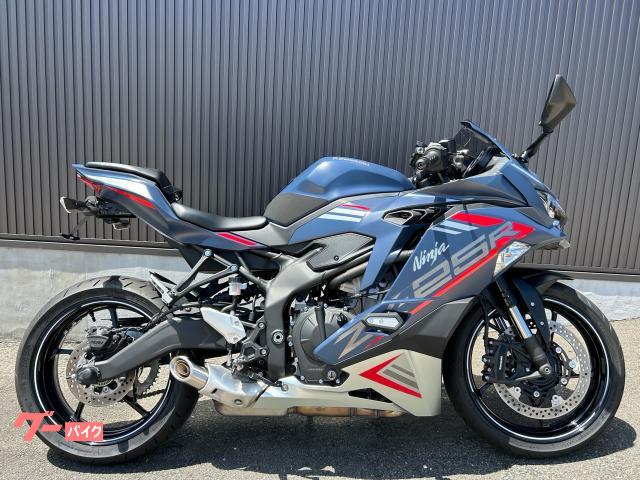 Ｎｉｎｊａ　ＺＸ−２５Ｒ　ＳＥ　フェンダ−レスキット・ＥＴＣ２．０装備