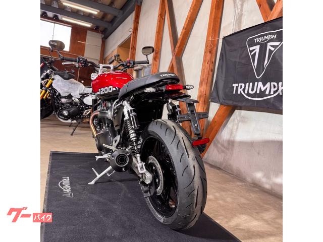 TRIUMPH 1200/2025//105/112Nm//USB — миниатюра 5